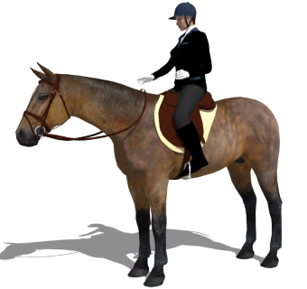 精细3D人物模型 (1)骑马人